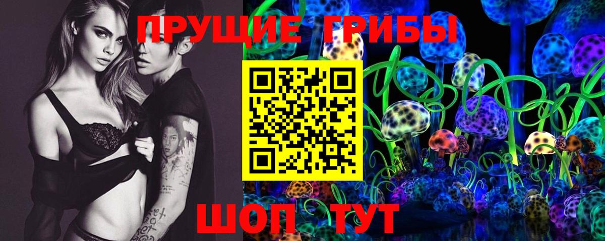 Галлюциногенные грибы Psilocybine cubensis  Вход с VPN  Новочебоксарск 