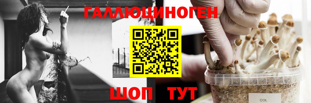 Галлюциногенные грибы GOLDEN TEACHER Новочебоксарск